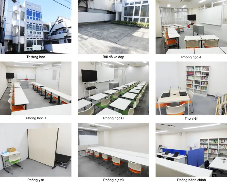 Trường Nhật ngữ Shibuya Lall - Thông tin tuyển sinh 2026...